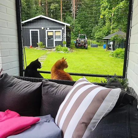 Spacious 44 Square Meters For 3 People Apartment